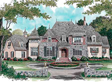 Forest Creek